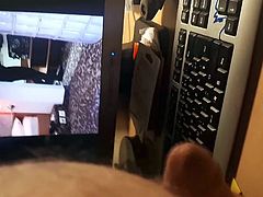 Tribute hornypussy01