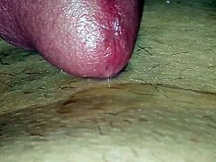 Hot milk