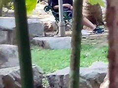 Hidden Camera Blowjob in Park