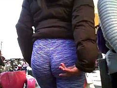 Sexy Trany