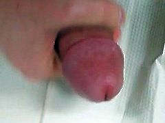 bbb3