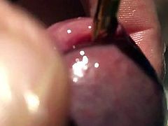 electro plug in