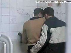 Cruising in Public Toilet