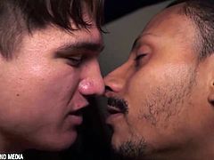 Hung thug breeds white hole