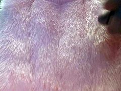 Cumming on a pink fur vest 2