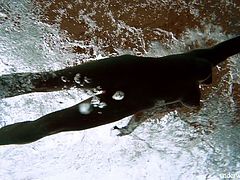 Underwater striptease by sex-appeal swimmer Deniska