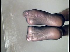 Feet soles pink toes in black and brown nylon socks