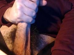 Il mio cazzo, pronto ad assaggiare bocche, fighe e culi