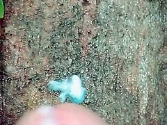 A small lovely one