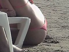 Delicia 41