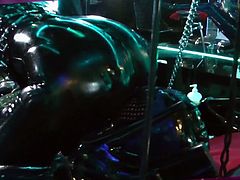 Heute gibt es ein Geschenk für Lady Lilith, Ihr Rubber Toy Holly hat sich ganz hübsch in Anzug und Krawatte für Sie rausgeputzt und zur Benutzung selbst abgestellt. Natürlich muss er auch in dieser Aufmachung für seine Herrin darunter voll gummiert sein. Was ihn zu so einer extremen Maßnahme drängt, sich selbst so auszuliefern nur um die Gunst der Herrin zu erringen ist klar, sein 2,5 cm kleiner XX S Steelworxx Keuchheits Käfig mit Innenplug und die Wochen welche er, das Toy, in unendlicher Geilheit nun schon darin schmoren müssen. Ob die Herrin aber Gnade mit ihm und seinem Teilchen haben wir