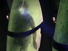 Joely Richardson - Event Horizon