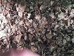 Spontan Abwichsen im Wald
