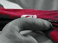 foreskin