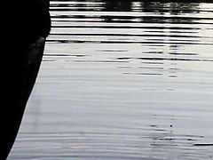 300618 Same Lake, New Piss