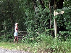 On a public footpath