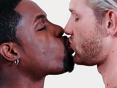 This interracial gay encounter is something really special. All his life Jacob Peterson dreamed of trying a big black dick and this time, his wish was fulfilled. Join Noir Male and enjoy hot interracial sex with ass licking, cock sucking and much more...
