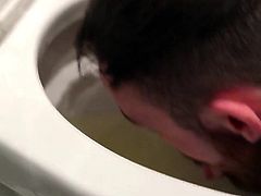 Toilet humiliation faggot