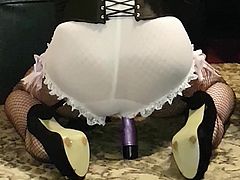 fishnets and vibrator