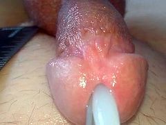 Small Tiny Little Cock Dick Penis Sound 5