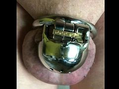 Chastity Cage Compilation 1