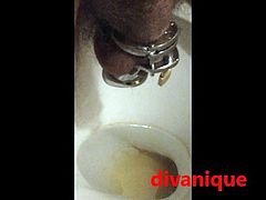 Divanique PISS