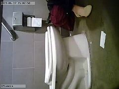 Hidden Toilet