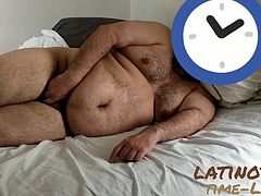 Latin Bear in Bed