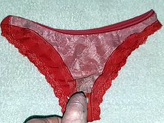 cumming on wife used panties