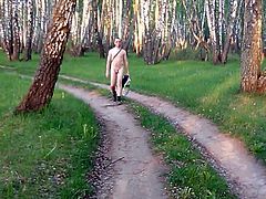 bare walk in the forest