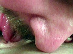 Homemade Pussy licking.