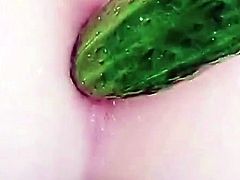 Amateur Webcam Anal Masturbation