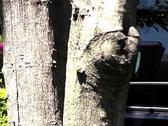 Teens enjoying group sex on the counch