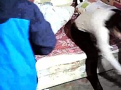 Amateur Asian Solo Fucking On Cam