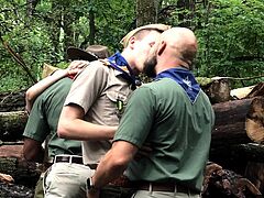 Rare Forest Wildlife Moments Captured in 4K