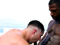 Outdoor Sex With Him